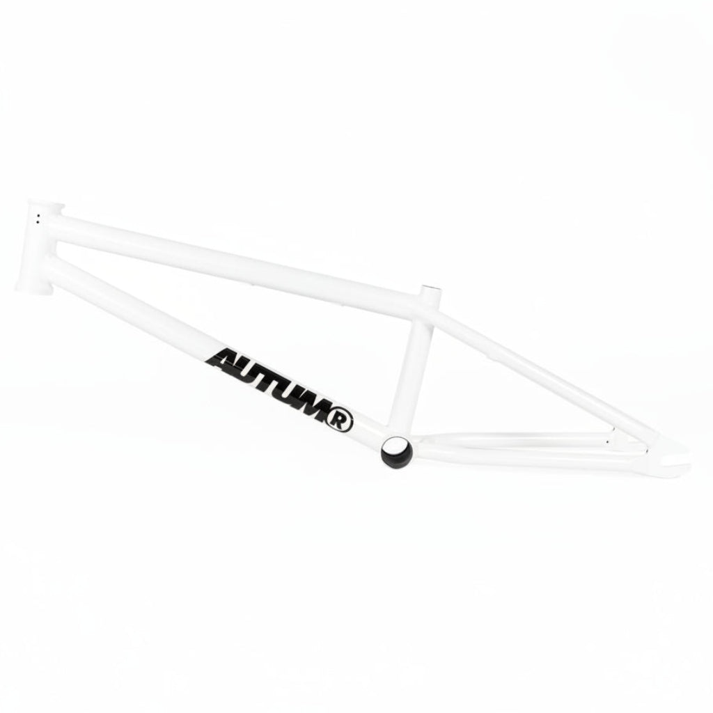 Autum Razzia V3 19.3” White Rahmen / Frame Flatland