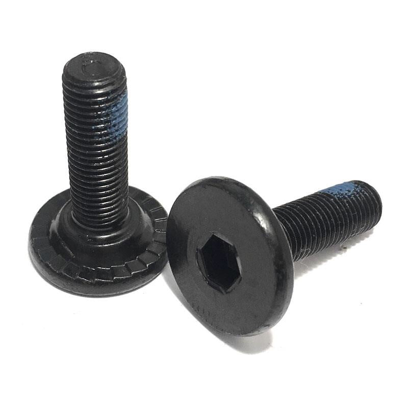 Rant Bangin´8 Spline M8 Kurbelschrauben / Crank Bolts